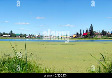 Bright day in the village of Ulus Suntar in Yakutia on an overgrown pond with old and new houses and wires of electricity through the water. Stock Photo