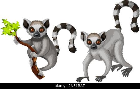 Two lemurs isolated on white background illustration Stock Vector