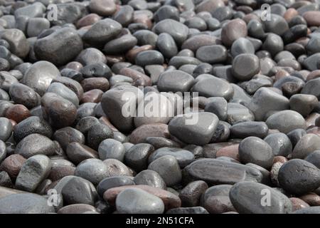 Smooth wet grey pebbles on beach Stock Photo