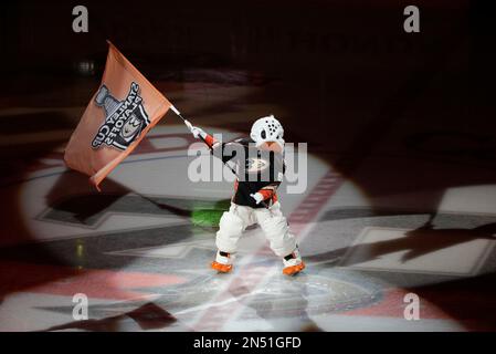 Anaheim Ducks mascot, Wild Wing, does a few victory laps on the ice after  the Ducks beat the Detroit Red Wings during game six of the NHL Western  Conference Finals in Anaheim