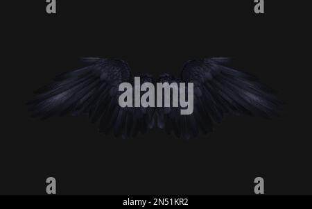 3d Illustration Demon Wings, Black Wing Plumage Isolated on White