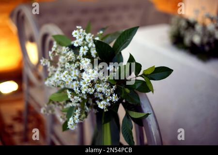 White Aster Flower in the Garden for Wedding Ceremony Stock Photo
