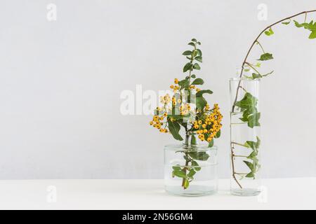 yellow berry twig ivy glass vase desk against background. Resolution and high quality beautiful photo Stock Photo