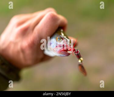 Hand made spinners with a triple hook for fishing — Stock Photo ©  mikhafff1984 #98991766