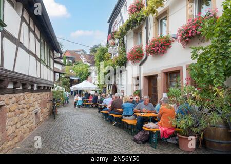 Wine festival in the wine village of Gleiszellen, Southern Palatinate, Palatinate, Rhineland-Palatinate, Germany Stock Photo