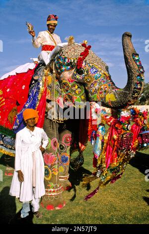 Festive parades with camels and elephants, Holi festival, Jaipur, Rajasthan, India Stock Photo
