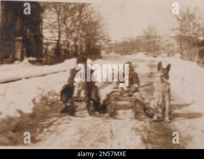 Vintage photograph about a super winter time when we had have fun togedher. We were sledging in the snow at the road. Our big German Sheperd dog was pushing us to get moved. Our little puppy was too small to get help him, but he could manage it. that time was 1930s. Stock Photo