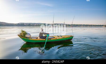 Aswan, Egypt; February 8, 2023 - An Egyptian man collects grass in his boat to feed his camals. Stock Photo