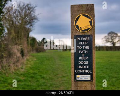 A way marker indicates a public footpath ahead, fixed to a wooden post in a field in winter in Cheshire, UK. A sign asks walkers to keep to the path a Stock Photo