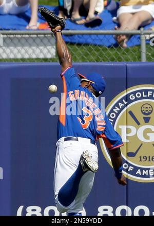 Curtis Granderson of New York Mets touched by fan during game