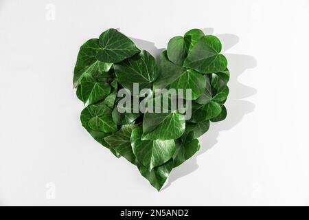 Environmental , Green energy, eco concept. Green leaves in heart shape on white background. Flat lay. Green Energy, renewable and sustainable resource Stock Photo