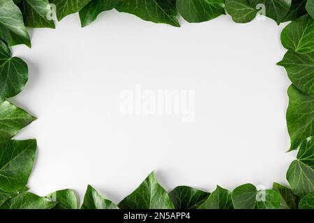 Frame made of green leaves on white background. Creative layout. Flat lay. Nature concept. Top view with copy space Stock Photo