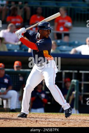 Houston Astros outfielder L.J. Hoes (28) during a spring training