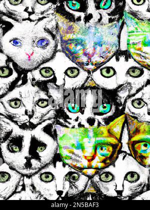 tumblr wallpaper hipster cat