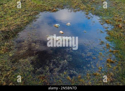 , A natural smiley made of stones in the middle of a puddle, United Kingdom, Scotland, Highlands Stock Photo