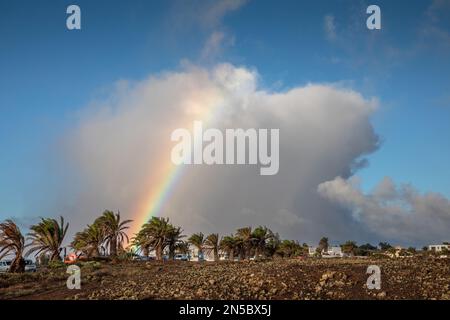 rainbow over palm trees in the north of Costa Teguise, Canary Islands, Lanzarote Stock Photo