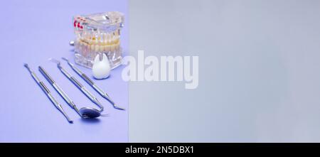 Dental tools and model of teeth on a blue background. Dental care concept. Stock Photo