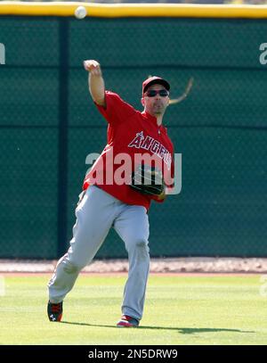 ANGELS IN THE OUTFIELD DANNY GLOVER Date: 1994 Stock Photo - Alamy