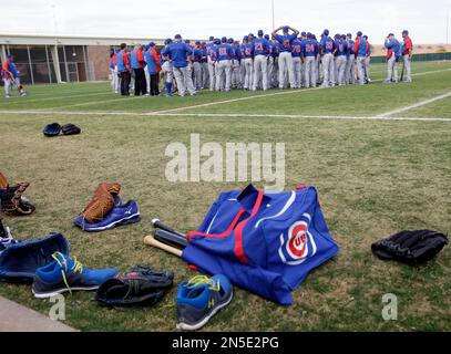 Chicago Cubs pitcher Marcus Stroman (0) pitches against the San Francisco  Giants during a MLB spring training baseball game, Saturday, Mar 19, 2022,  in Scottsdale, Ariz. (Chris Bernacchi/Image of Sport/Sipa USA Stock