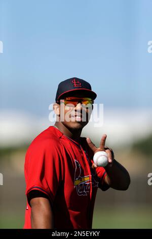 Graphic photo of Oscar Taveras' body circulates