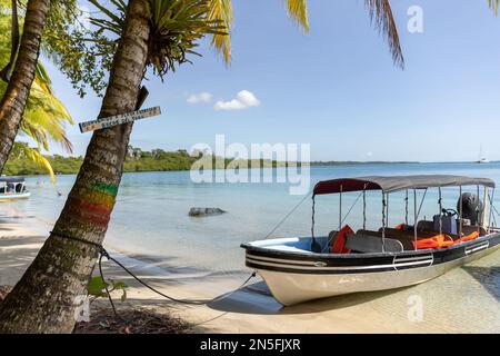 Starfish Beach, Bocas del Toro, Panama Stock Photo