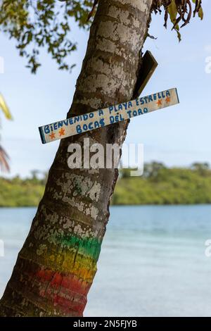 Starfish Beach, Bocas del Toro, Panama Stock Photo