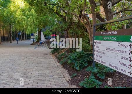 Melbourne, Victoria, Australia - 06 Apr 2014:  The pedestrian walk in University of Melbourne Stock Photo