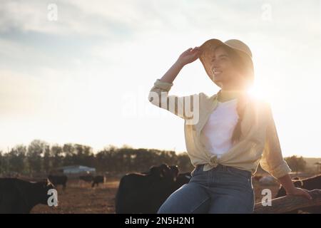 Young woman sitting on fence near cow pen outdoors. Animal husbandry Stock Photo