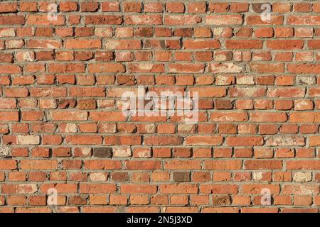 Brick wall with red bricks in the sunlight Stock Photo