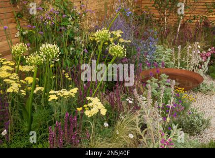 Drought tolerant plants including Achillea 'Credo', Perosvskia 'Blue Spire', Eryngium and Agapanthus around a corten steel water bowl in the Turfed Ou Stock Photo