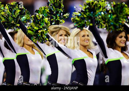 Best of Seattle Seahawks Cheerleaders 2014