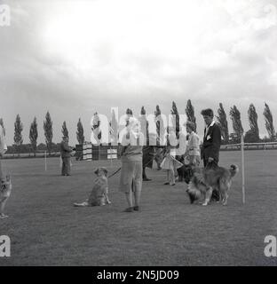 1963, historical, outside in a large field, several owners standing in a line with their dogs, at dog show, England, UK. Stock Photo