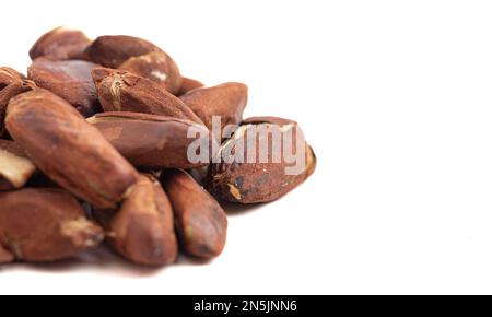 Pili Nuts from the Philippines on a White Background Stock Photo