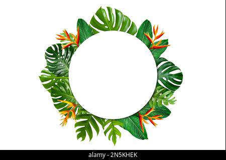 Tropical forest with leaves and flowers surrounding a white circle frame on a white background. Stock Photo