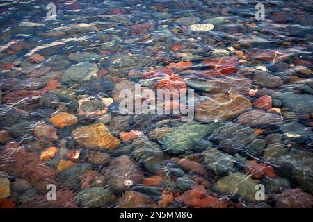 Stones at the edge of the sea on a beach in Scotland. Stock Photo