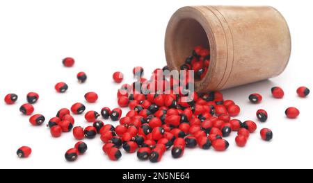 Abrus precatorius or Indian liquorice Seeds Stock Photo