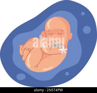 Baby In Womb, Heart, Love One Line Drawing On White Background Stock ...