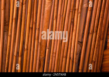 Close up wood texture detail of abstract yellow-brown bamboo stick pattern, japanese building material for background, backdrop or design element deco Stock Photo