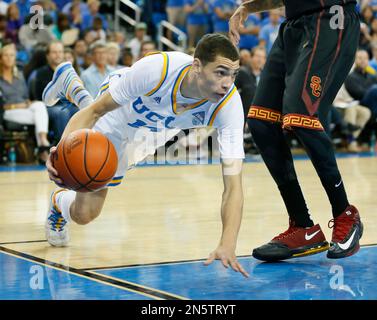 Los Angeles, CA, USA. 8th Nov, 2013. UCLA Bruins guard Zach LaVine #14  moves the ball in the first half during the College Basketball game between  the Drexel Dragons and the UCLA