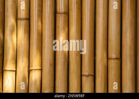 A bamboo background with warm natural tones.Wood Bamboo Background. Stock Photo