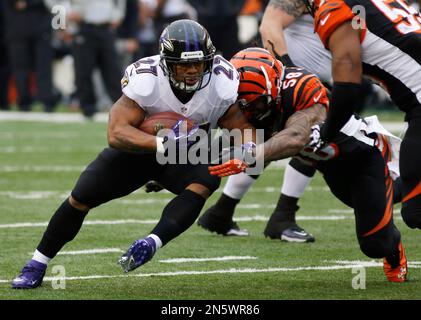 Cincinnati Bengals linebacker Rey Maualuga in action during practice at NFL  football training camp, Wednesday, Aug. 10, 2011 in Georgetown, Ky. (AP  Photo/Al Behrman Stock Photo - Alamy