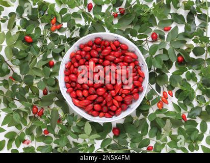 Rosehips in bowl on background of fresh leaves, table top view. Rosa Canina fruits in ceramic plate on natural background. Rose hip berries. Stock Photo