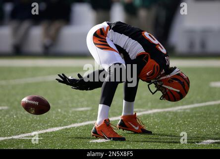 Cincinnati Bengals long snapper Clark Harris tosses a football to a fan  before the AFC championship NFL football game against the Kansas City Chiefs,  Sunday, Jan. 30, 2022, in Kansas City, Mo. (