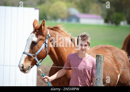 Blond tween boy leading a brown horse with white blaze. Stock Photo