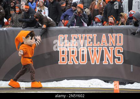 Cleveland Browns mascot Brownie the Elf during the International Series NFL  match at Twickenham, London Stock Photo - Alamy