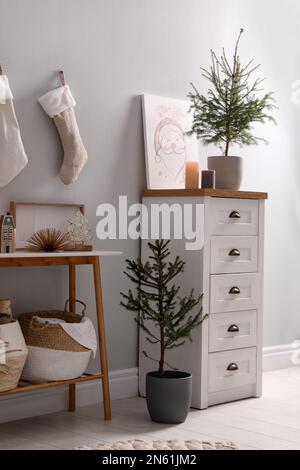 Beautiful room with potted fir trees. Interior design Stock Photo - Alamy
