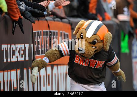 NFL Mascot Chomps the Cleveland Browns Editorial Photo - Image of