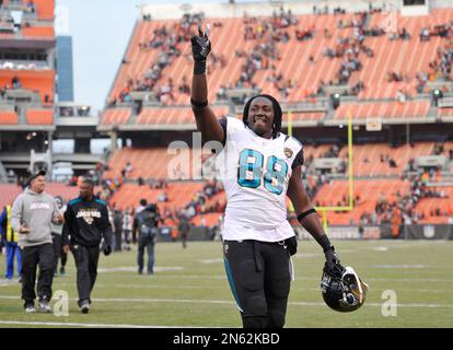 Jacksonville Jaguars tight end Danny Noble during an NFL football game  against the Cleveland Browns Sunday, Dec. 1, 2013, in Cleveland.  Jacksonville won 32-28. (AP Photo/David Richard Stock Photo - Alamy