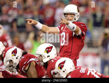 Former Arizona Cardinals quarterback Carson Palmer stands with his family  as team president Michael Bidwill speaks after being added to the Cardinals  ring of honor at half time of an NFL football