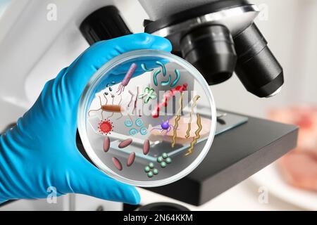 Scientist holding Petri dish with microbes, closeup. Laboratory analysis Stock Photo